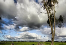 13投27分！热火已经撩上曾凡博！中国第一前锋真有本事…….