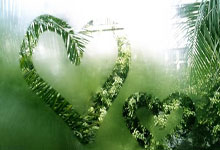 九游娱乐体育：英超：利物浦3比2战胜南安普敦扩大领先优势.