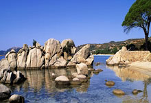 巴萨官方：奥尔莫右大腿内收肌受伤，他将缺席三周左右.